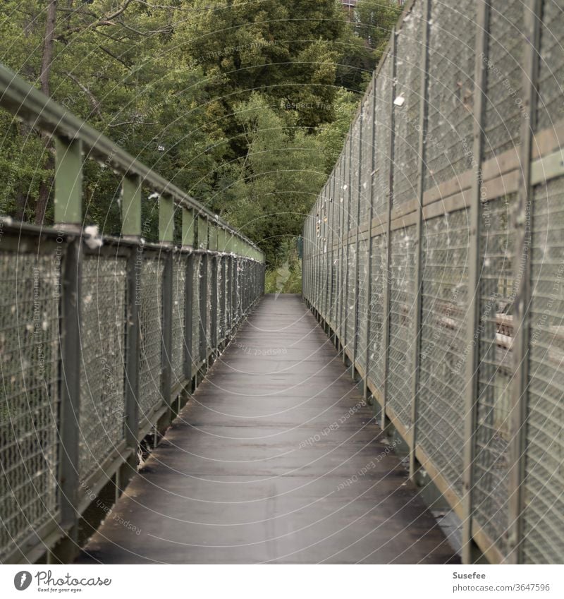 Am Ende eines Weges Wege & Pfade Richtung Umwelt Menschenleer Ziel Orientierung richtungweisend Baum Brücke Brückengeländer