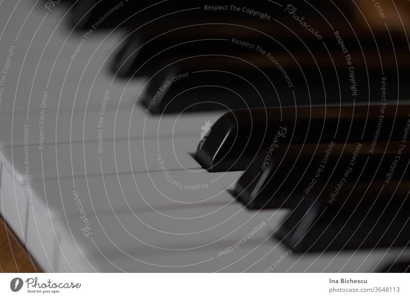 Mehrere Klaviertasten schräg  und mit wenig Tiefenschärfe fotografiert . Nur eine weiße und eine schwarze Taste sind scharf . Unten links und oben rechts in Bild sind zwei kleine braune Holz Flecken zu sehen, der Rest des Bildes ist schwarz-weiß.