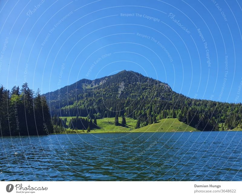 Blick über den Chiemsee See Himmel Natur Wasser Landschaft Außenaufnahme Bayern Ferien & Urlaub & Reisen Sommer Erholung Berge u. Gebirge Schönes Wetter Seeufer