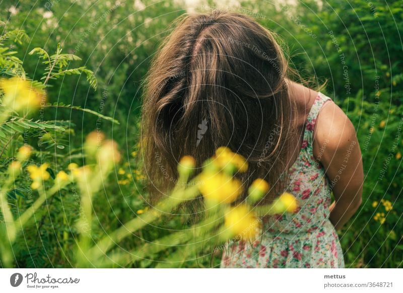 Die hübsche Blondine steht auf einem Sommerfeld und versteckt ihr Gesicht an den Haaren, um ihre Gefühle zu verbergen. blond Kleid Schnappschuss schön Feld Mode