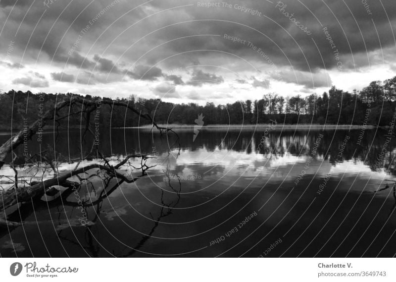 Unheildrohend | Landschaft mit See und dunklen Wolken in Schwarz-Weiß Schwarzweißfoto schlechtes Wetter Seeufer Spiegelung Spiegelung im Wasser