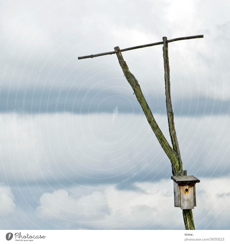 Landeplatz Vogelkiste Nistkasten himmel Sitzstange wolken hoch holz vogelhaus dreieick gabeln befestigung landeplatz natur vogelstange