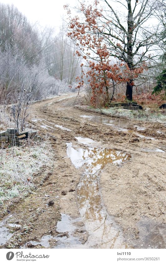 Waldweg im Winter mit Matsch und großen Pfützen in denen sich die Bäume spiegeln Frost Tauwetter Pfützenspiegelung Raureif Wasser Spiegelung im Wasser Sträucher