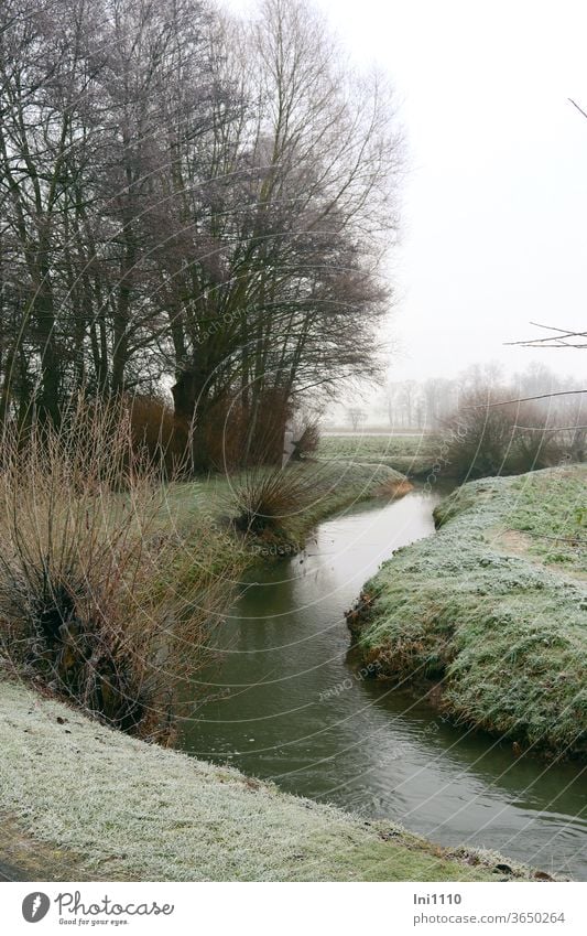 Winterzeit an der Hase Fluss Flußauen fließen Stille Ruhe Wiesen Bäume Sträucher Raureif Natur Schönheit draußensein genießen beobachten menschenleer trübe