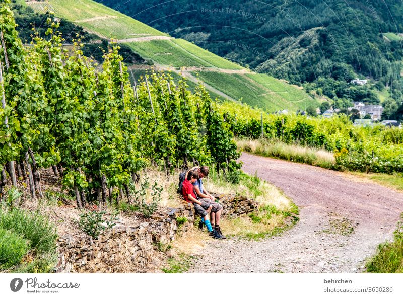 zusammensein Wald Ferien & Urlaub & Reisen Liebe Mann wandern Kind Junge Eltern Familie & Verwandtschaft Vater Sohn Natur Außenaufnahme Umwelt Wanderer