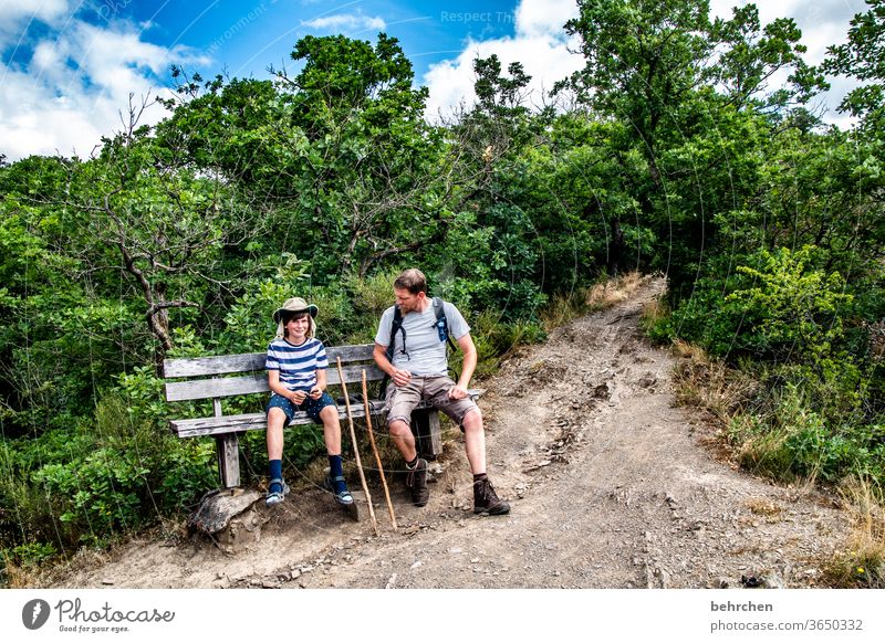 wanderbuben Glück Fröhlichkeit Freude Wege & Pfade Wanderer Zusammensein gemeinsam Umwelt Außenaufnahme Natur Sommer Sohn Vater wandern Junge Mann Kind Eltern