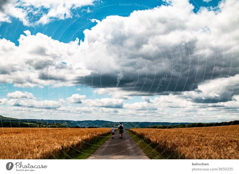 neue wege gehen Symmetrie Ernte endlos weite ökologisch Nutzpflanze Wachstum Weizenfeld Landschaft Landwirtschaft Korn Getreide Gerste Roggen wandern Vater Sohn