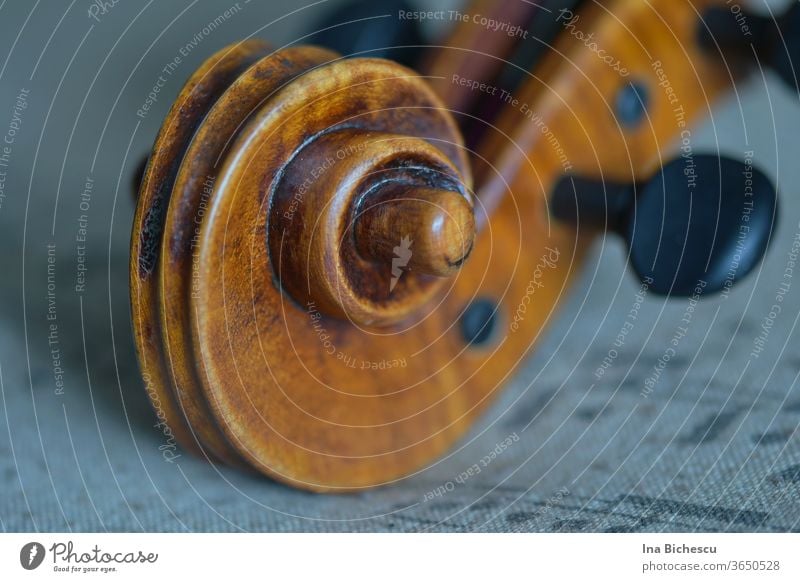 Der Kopf einer Geige aus Holz mit der Schnecke und ein schwarzen Stimmwirbel auf einem grauen Stofftuch mit Musik Noten Druck. violine viola bratsche kopf