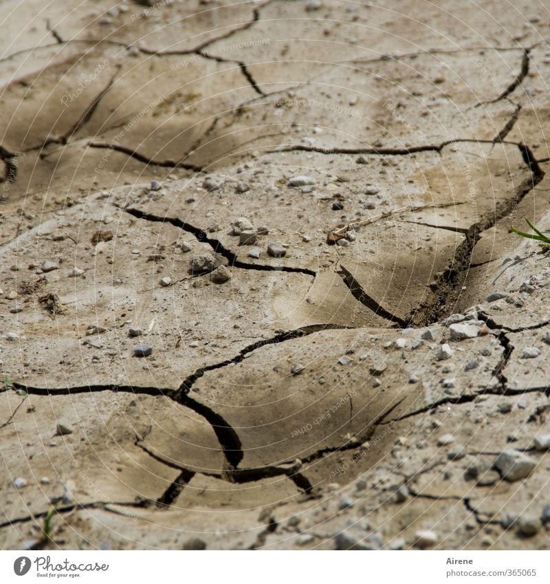 AST6 Inntal | Schluss mit Wasser! Umwelt Natur Landschaft Urelemente Erde Sommer Klima Klimawandel Wetter Dürre Linie trocken braun schwarz chaotisch