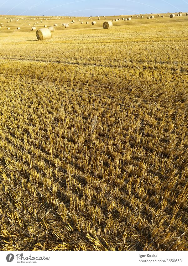 Heuballen im Feld gegen blauen Himmel Sonnenlicht malerisch Ackerbau Bauernhof Ernte ländlich Sommer