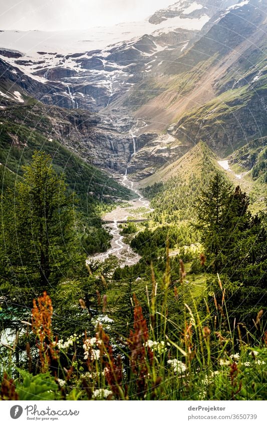 Restegletscher in Alp Grüm schmelzen Eisscholle Klima klimakrise Klettern diavolezza Gletscherschmelze Naturschutzgebiet Alpen Außenaufnahme Klimawandel