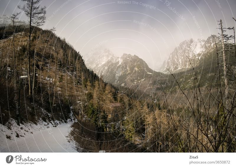 Hohe Tatra Berge Slowakische Republik Natur Schnee Winter Bäume national Park wild Wildnis im Freien Saison kalt Gipfel weiß Europa reisen