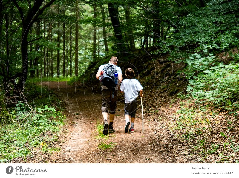 dynamisch | wandern Hand in Hand Wald Ferien & Urlaub & Reisen Liebe Familie & Verwandtschaft Sommer Sohn Vater Mann Kind Junge Eltern Natur Außenaufnahme