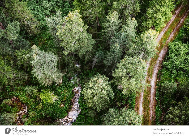 Blick aus der Gondelbahn im Engadin in Graubünden am Morgen Sonnenstrahlen Tag Licht Außenaufnahme Alpen Natur Naturschutzgebiet anstrengen Umwelt wandern