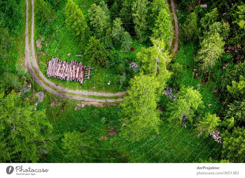 Blick aus der Gondelbahn im Engadin in Graubünden am Morgen Sonnenstrahlen Tag Licht Außenaufnahme Alpen Natur Naturschutzgebiet anstrengen Umwelt wandern