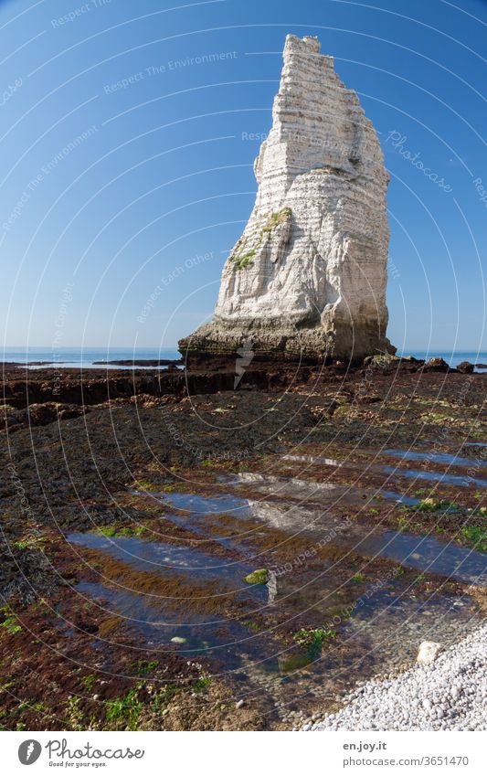 Felsennadel bei Ebbe in Étretat Aiguille Felsnadel Felsformation Kalkstein Kreidefelsen Meer Erosion Wasser Spiegelung Klima Wetter Himmel blau Blauer Himmel