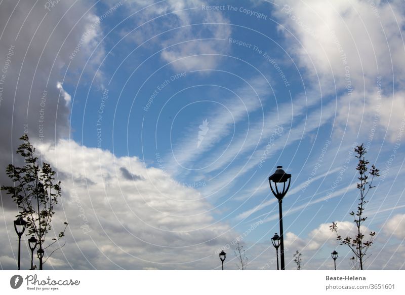 Sommerspaziergang: Straßenlaternen und Bäume vor heiter bewölktem Himmel schönes Wetter bewökter Himmel Sonne Wolken Dynamik erlebnisreich Schönes Wetter Natur