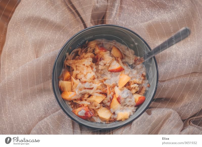 Eine Schüssel Porridge mit frischem Obst Frühstück gesund Früchte lecker Müsli Ernährung Gesunde Ernährung Essen Mahlzeit süß