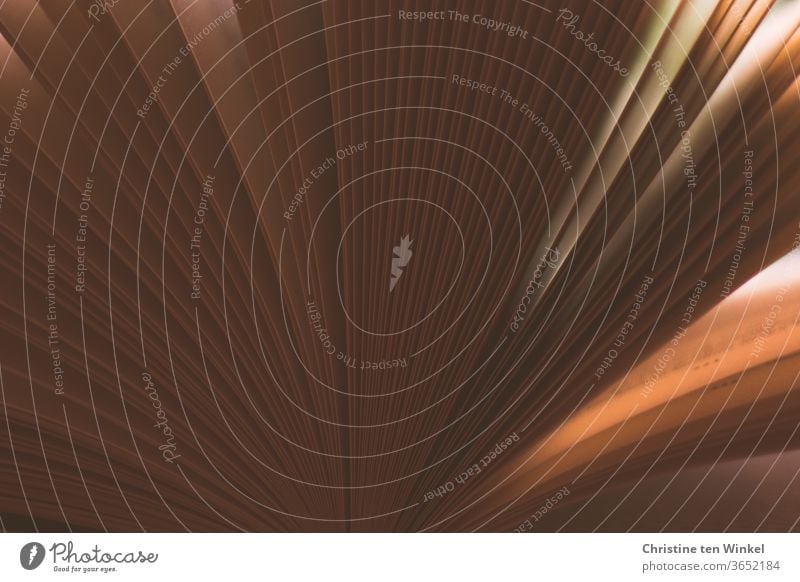 Druckerzeugnis I Buchseiten wie ein Fächer im Gegenlicht aufgeschlagen Offenes Buch Literatur lesen Lesestoff Bildung Wissen Schule Studium Bibliothek