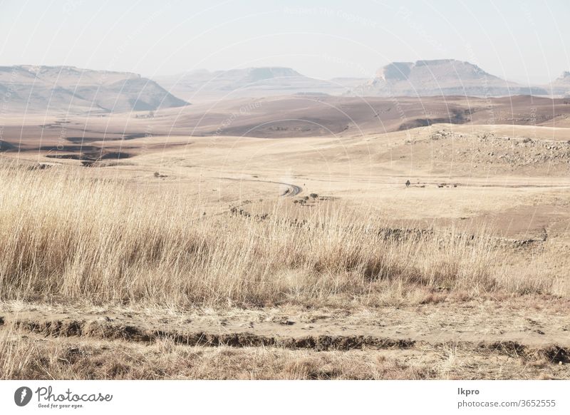 in südafrika land busch und baum Afrika Süden Landschaft gelb grün Berge u. Gebirge Hügel Himmel Park gry Cloud Afrikanisch Natur national malerisch Gras