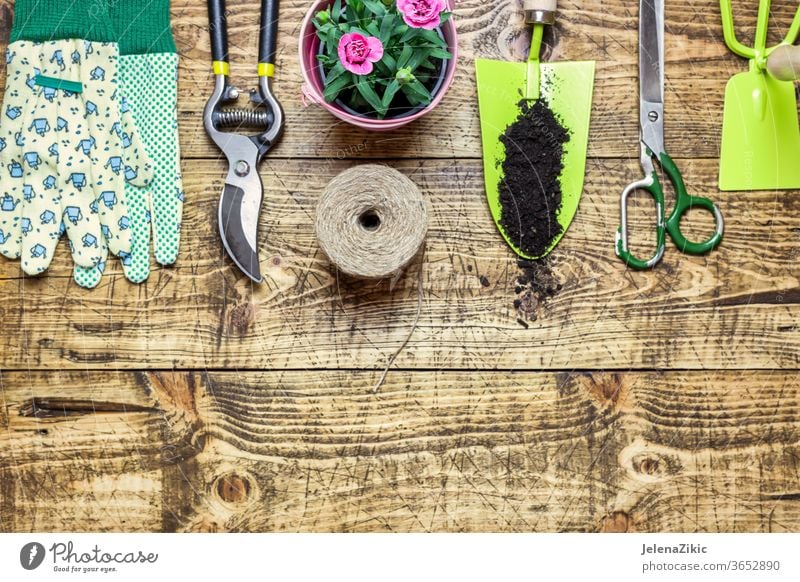 Komposition mit Blumen und Gartengeräten Boden grün Sommer Frühling Wachstum Natur Gartenarbeit Bewässerung Blumentopf Haus im Freien Pflanze geblümt Topf