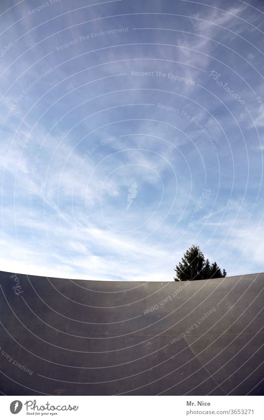 Baumwipfel Pflanze Halfpipe verborgen Tarnung Wachstum Schutz grau Bauwerk Barriere Wand Schönes Wetter Umwelt Himmel Architektur Baumkrone himmlisch Objekt