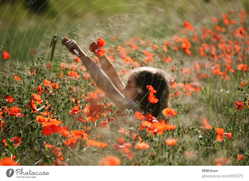 Free your mind Zufriedenheit Erholung Meditation Duft Spielen Sommer Sonne wandern Garten feminin Kind Mädchen Arme 3-8 Jahre Kindheit Natur Gras Park Wiese