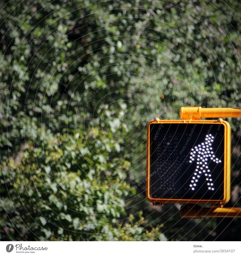 Ampelmännchen (Brooklyn Version) ampel Fußgängerübergang Fußgängerampel urban natur baum busch bewuchs gelb hinweis regel gehen stilisiert gebückt disziplin