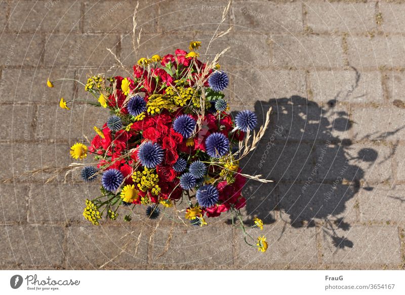 Sommerstrauß Blumen Blumenstrauß bunt bunt gemischt farbenfroh rot gelb blau Kugeldisteln Röschen Gräser Schatten Pflaster Schönes Wetter Sonnenschein