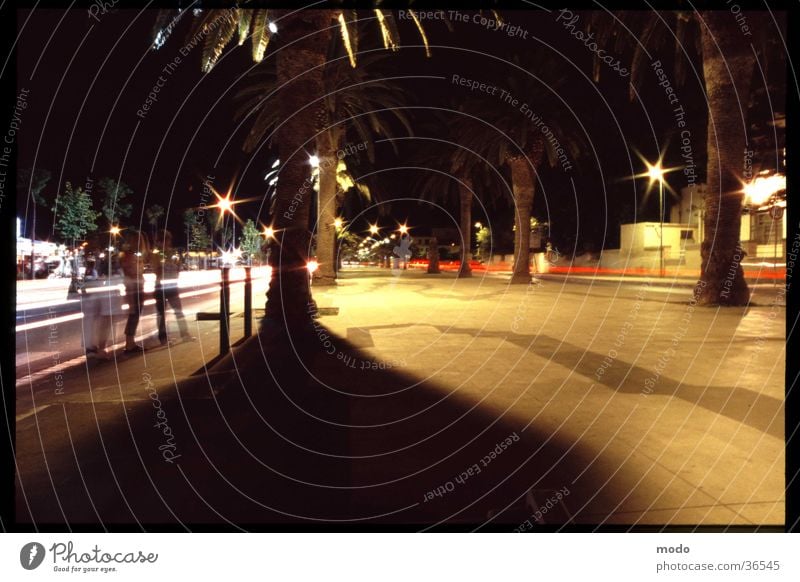 Promenade Sardinien Palme Langzeitbelichtung Licht Ferien & Urlaub & Reisen Italien Nacht Stadt Sommer Europa Schatten Bewegung