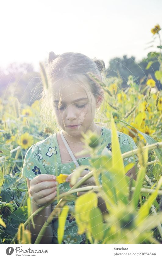 mädchen in einem feld aus sonnenblumen | lieblingsmensch Kind Mädchen Sommer Sonnenschein warm Sonnenblumen Sonnenblumenfeld Sonnenlicht Entspannung Freiheit