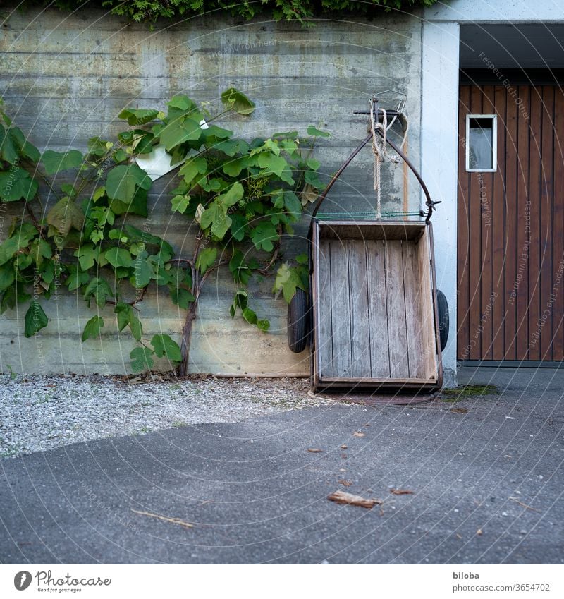 Fahrradanhänger, in die Jahre gekommen, wartet auf dem Parkplatz vor der Garage darauf, dass er wieder einmal gebraucht wird. Bis dahin erfreut er sich an den Früchten der Rebe, welche neben ihm gedeihen.