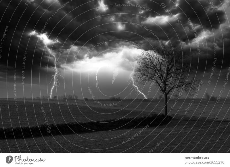 Gewitter in schwarzweiss blitz blitze gewitter einschlag sturm unwetter himmel energie gefahr baum landschaft monochrom wolken gefährlich