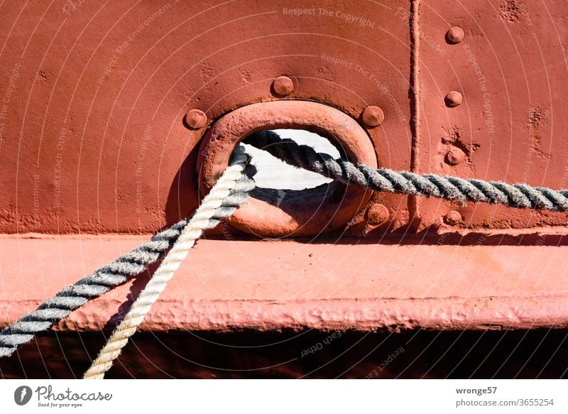 Klüse und Festmacherleinen Öffnung Bordwand Schanzkleid Schiffswand Leinen Taue Farbfoto Menschenleer Schifffahrt Außenaufnahme maritim Tag Hafen Nahaufnahme