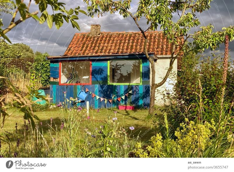 Gartenhaus im Sommer Gartenarbeit Girlande Blumen Wiese Schrebergarten Pflanzen Gießkanne Fenster Gartenlaube Natur Außenaufnahme Farbfoto Freizeit & Hobby