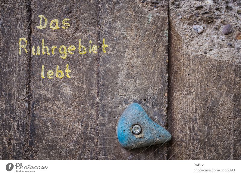 Das Ruhrgebiet lebt.. Keller Mauer Wand wall Stall Fenster Ruine Sandstein Architektur Land Landleben Nostalgie cellar rural Tradition Wald Mauerwerk stone art