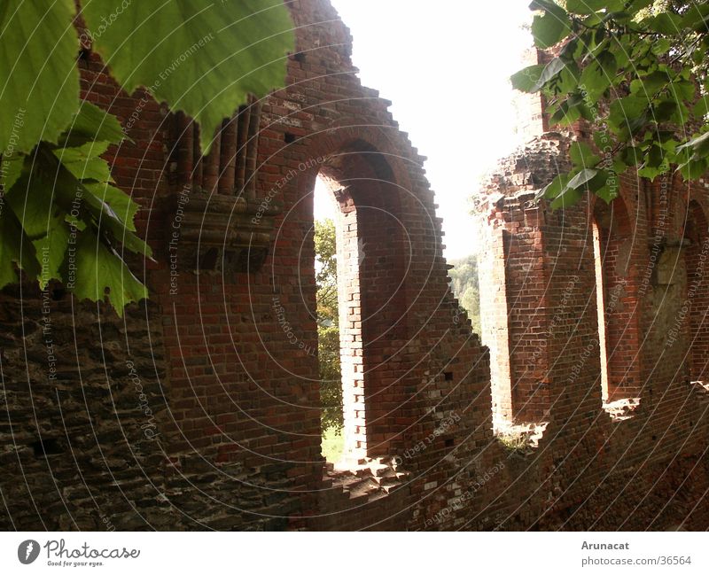 Licht und Schatten Ruine Erkenntnis historisch Kloster Stein Natur Vergangenheit