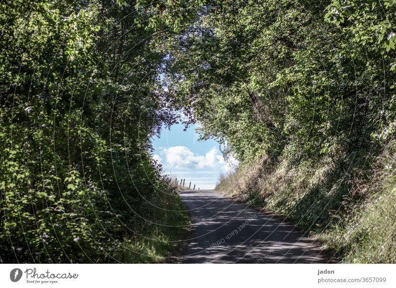 tunnelblick. Wege & Pfade wanderweg Natur Landschaft wandern Farbfoto Berge u. Gebirge Umwelt Menschenleer Tourismus Wanderausflug Ausflug Himmel Wolken