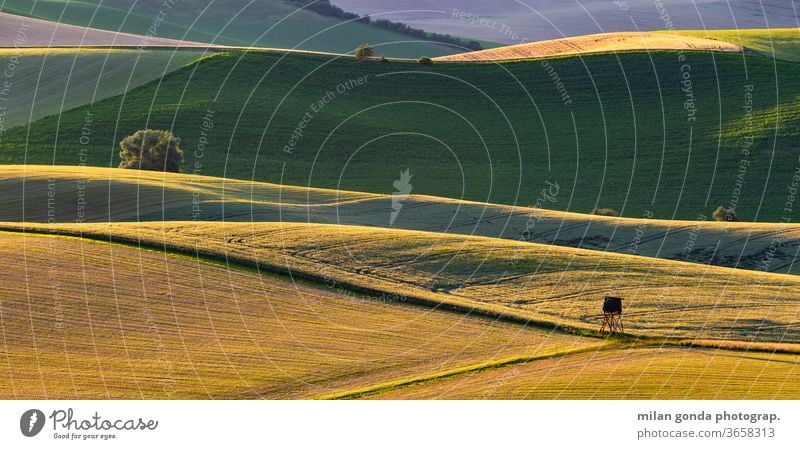 Ländliche Landschaft der Region Turiec in der Nordslowakei. Slowakische Republik ländlich Bereiche Sommer Ackerbau Natur Hügellandschaft Jagdausguck