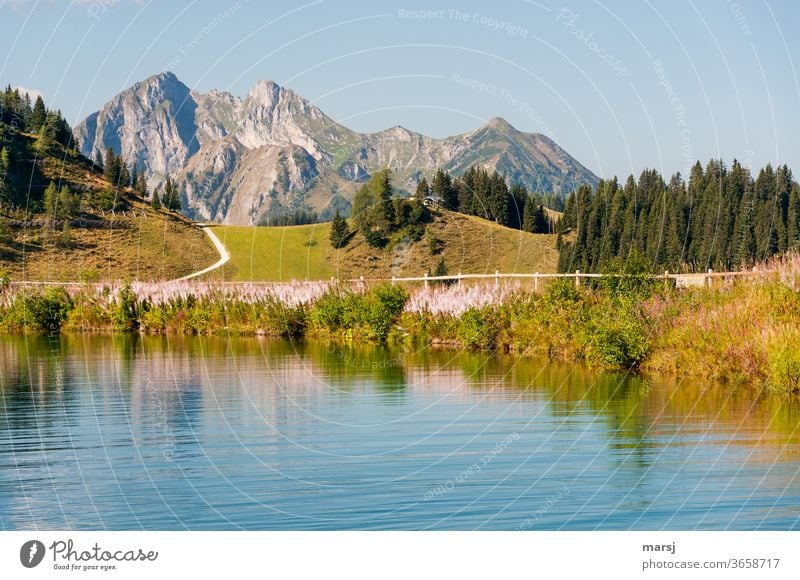 Neue Woche, neues Wanderglück! Gebirgssee Wasser Freiheit Alpen Berge u. Gebirge Pfad Bäume wandern Landschaft Ferien & Urlaub & Reisen Seeufer Gipfel Natur