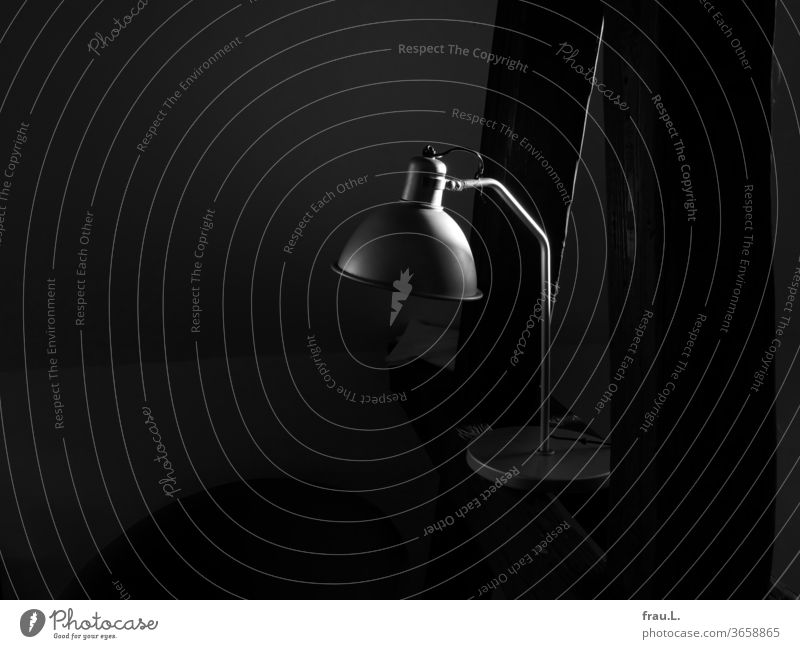 Ich will nicht angeleuchtet werden, sondern selber leuchten, räsonierte die Leselampe. Lampe Schreibtischlampe Beleuchtung Häusliches Leben Aluminium Dachbalken