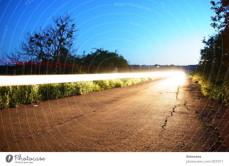 Möge die Macht mit dir sein Umwelt Natur Nachthimmel Horizont Baum Verkehr Straße Wege & Pfade Stein Linie hell Geschwindigkeit Lichtstrahl Farbfoto