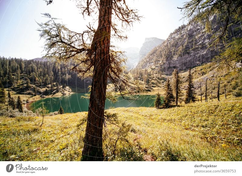 Sonnige Aussicht am Grünsee Weitwinkel Panorama (Aussicht) Totale Zentralperspektive Starke Tiefenschärfe Sonnenaufgang Sonnenlicht Lichterscheinung Kontrast