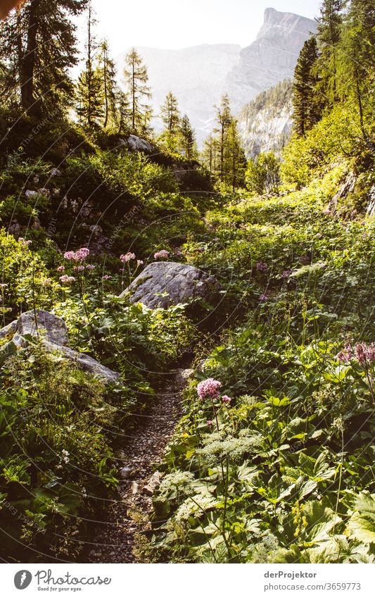 Wanderweg im Nationalpark Berchtesgarden Weitwinkel Panorama (Aussicht) Totale Zentralperspektive Starke Tiefenschärfe Sonnenaufgang Sonnenlicht