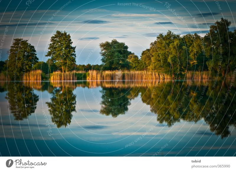 Reflektionen Natur Landschaft Wasser Sonnenaufgang Sonnenuntergang Sonnenlicht Teich Stimmung Freiheit Wasseroberfläche Reflexion & Spiegelung Farbfoto