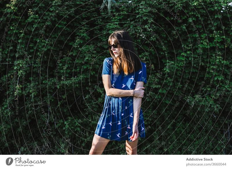 Frau auf der grünen Wiese Feld Sommer Zuckerrohr Landschaft Natur sich[Akk] entspannen Wochenende frisch blau Kleid stehen Grün tagsüber Windstille friedlich