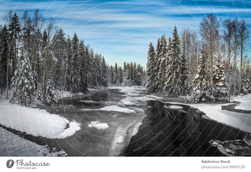 Schneller Bach fliesst durch grünen Wald Fluss Natur Winter Baum Landschaft prunkvoll Blauer Himmel strömen wild Umwelt malerisch ruhig Saison schön Windstille