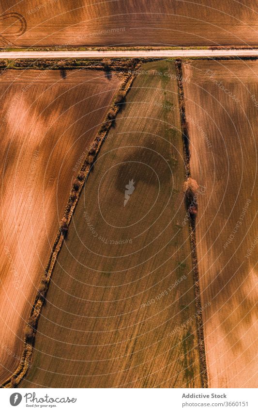 Fahrbahn zwischen grünen landwirtschaftlichen Feldern Straße Ackerbau ländlich Landschaft Natur Umwelt Weg Route Ackerland Autobahn Gelände gerade Gegend