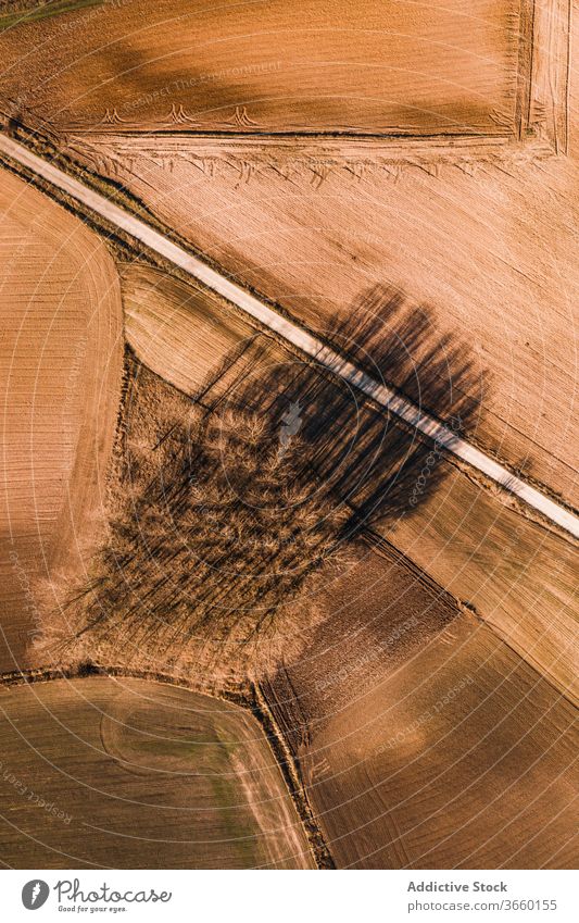 Fahrbahn zwischen braunen landwirtschaftlichen Feldern Straße Ackerbau ländlich Landschaft Natur Umwelt Weg Route Ackerland Autobahn Gelände gerade Gegend