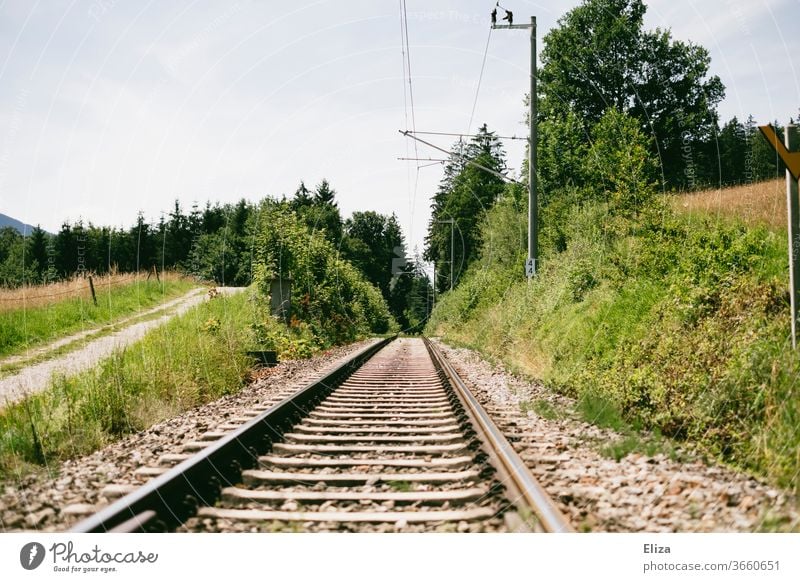 Zugschienen durch die Natur Bahnschienen Schienen Bahnverkehr Gleise Schienenverkehr Ferien & Urlaub & Reisen Eisenbahn Verkehrswege Weg Wald Sommer